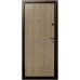 Дверь входная D12